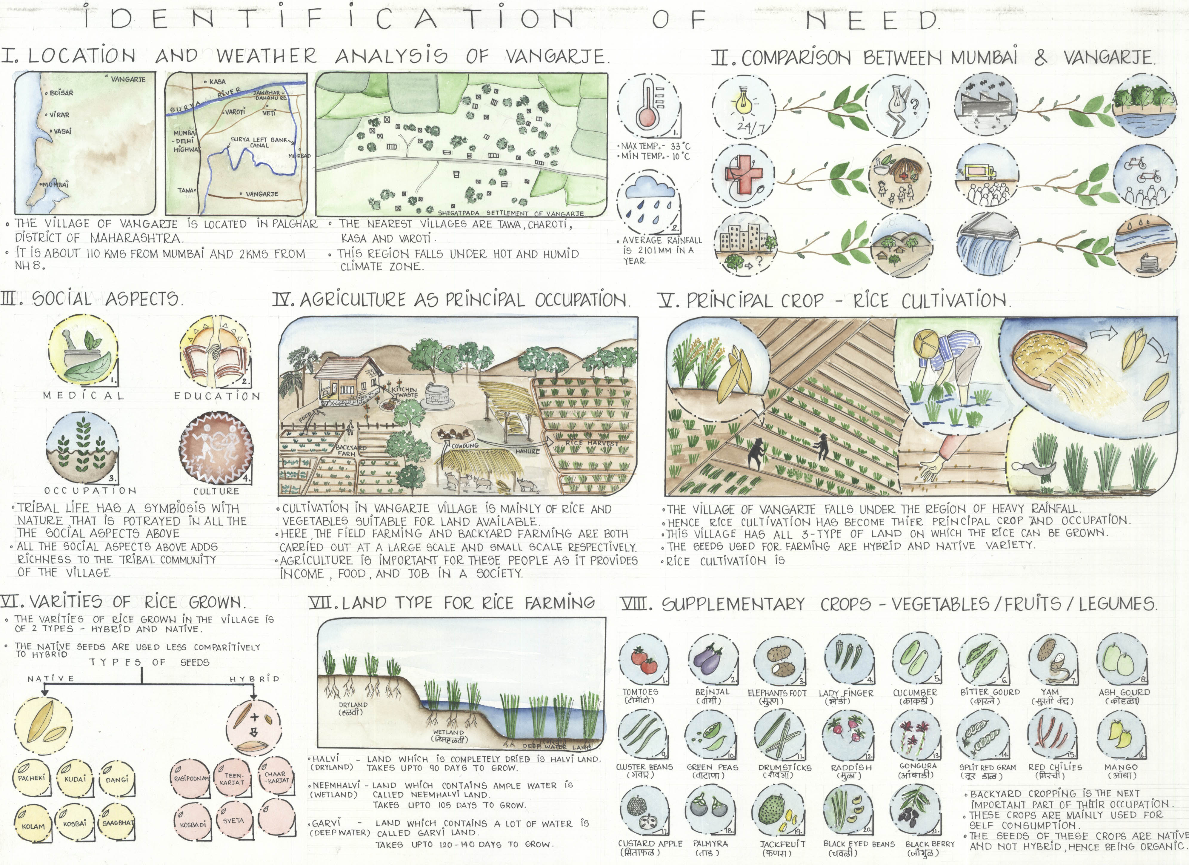 Native Seeds Conservation Plan