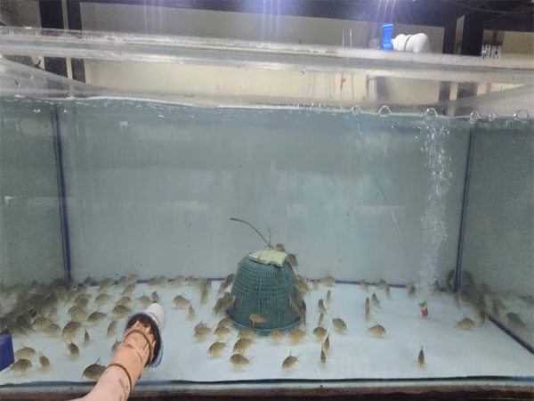 Field Trip to an Aquarium
