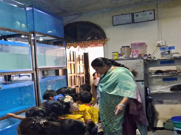 Aquarium Visit