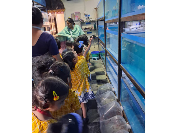 Field Trip to an Aquarium