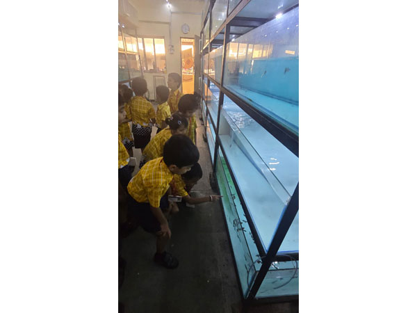 Field Trip to an Aquarium