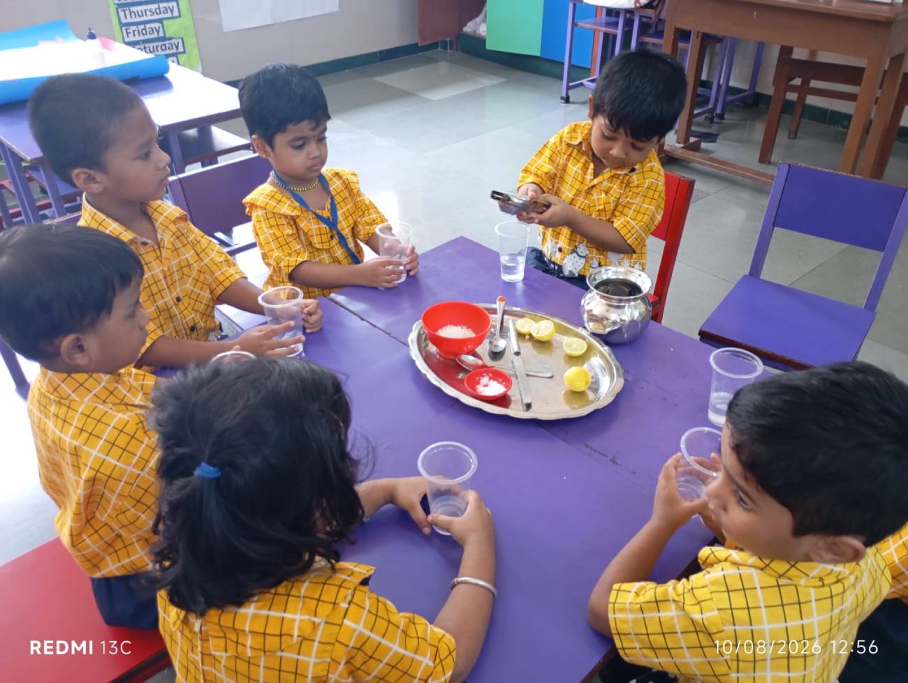 Lemon Juice Making Activity 2026-27