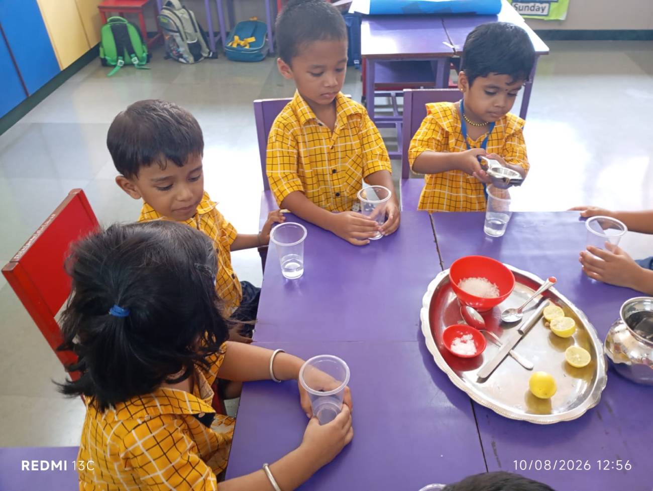 Lemon Juice Making Activity 2026-27