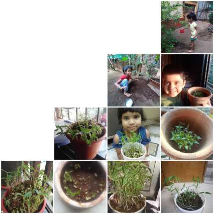 Planting Activity 2021