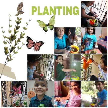 Planting Activity 2021