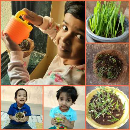 Planting Activity 2021