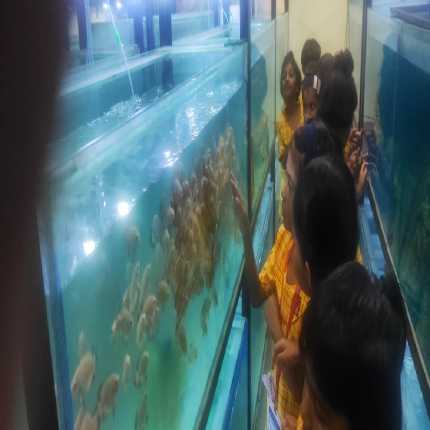 Field Trip to Aquarium 2023