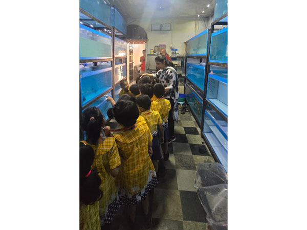 Field Trip to an Aquarium 2025