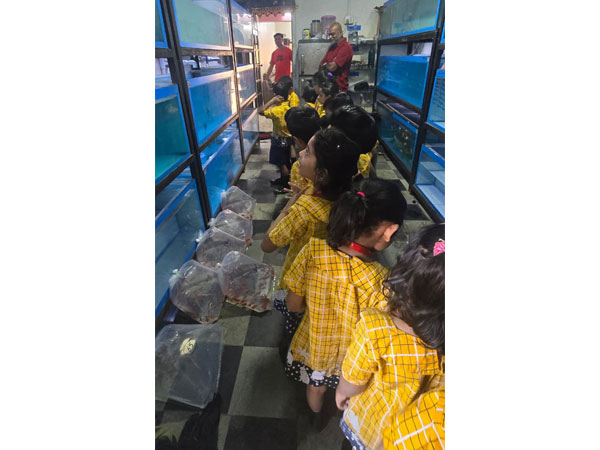 Field Trip to an Aquarium 2025