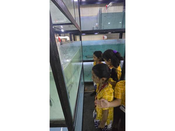 Field Trip to an Aquarium 2025