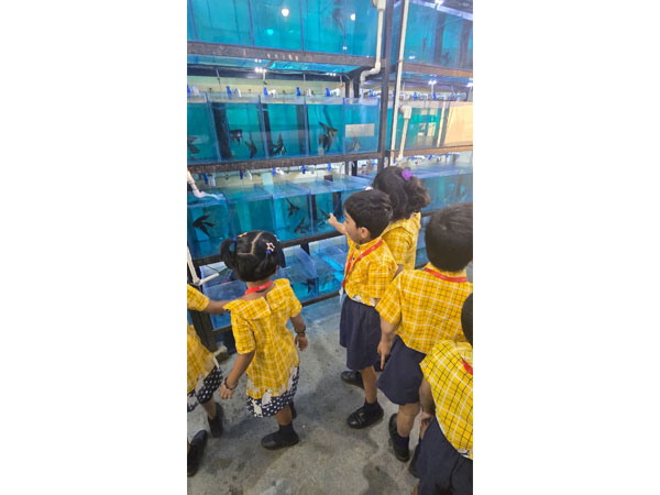 Field Trip to an Aquarium 2025