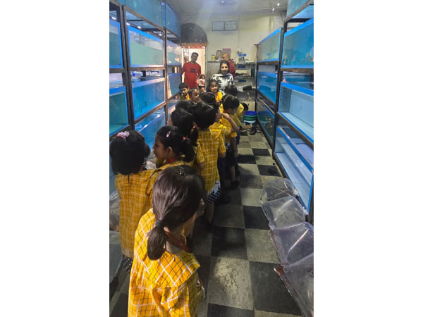 Field Trip to an Aquarium 2025