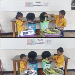 Segregation of Dry and Wet Waste