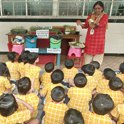 Segregation of Dry and Wet Waste