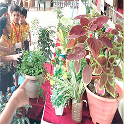 LOVE THE EARTH, KEEP IT CLEAN & GREEN