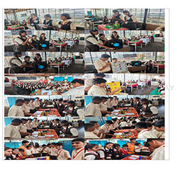 The Social Science Activity Day