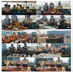 The Social Science Activity Day