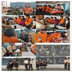 The Social Science Activity Day