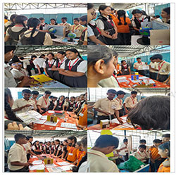 The Social Science Activity Day