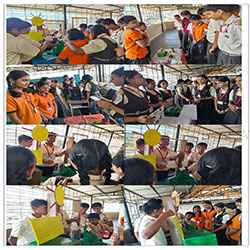 The Social Science Activity Day