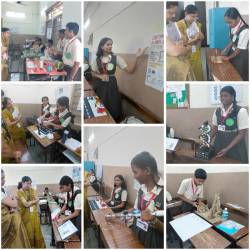 Science Exhibition