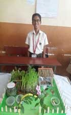 SCIENCE EXHIBITION