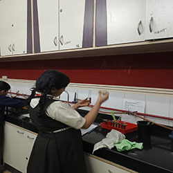 Dr. Homi Bhabha Balvaidnyanik Competition Practical Exam