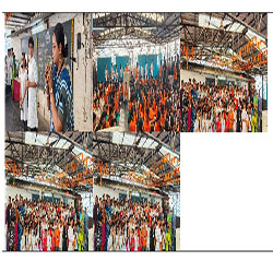 मराठी भाषा दिन