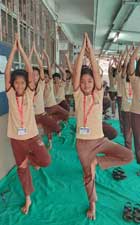 International Yoga Day Celebration