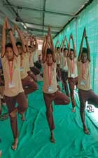 International Yoga Day Celebration