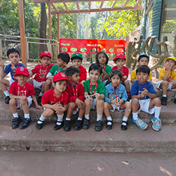 Animal Safari Week 2025-26