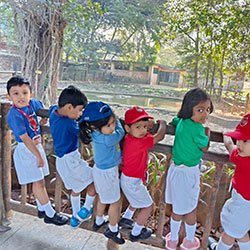 Animal Safari Week 2025-26