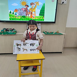 Animal Safari Week 2025-26