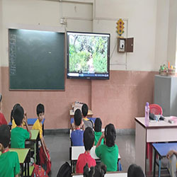 World Elephant Day 2025-26