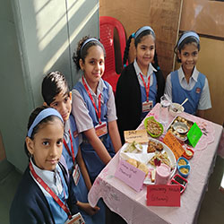 Std IV Science Healthy Food Activity 2025-26