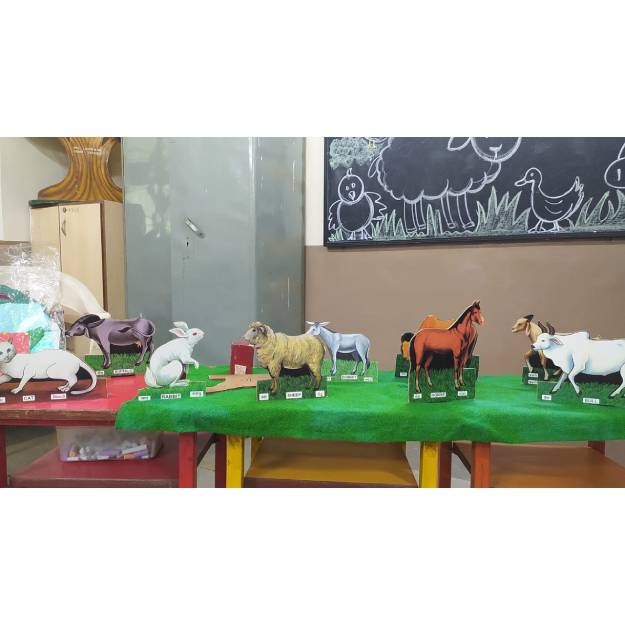 Special days Farm Animals