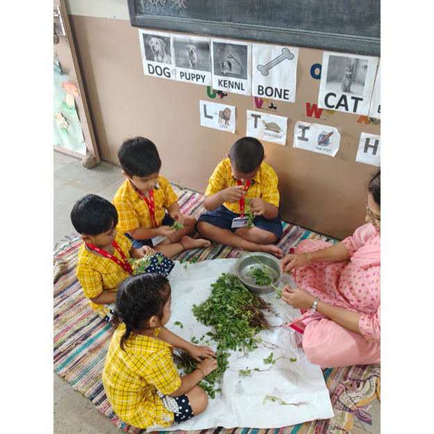 Methi Activity 2025-26