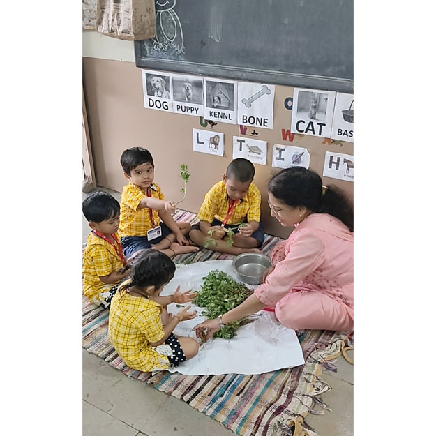 Methi Activity 2025-26