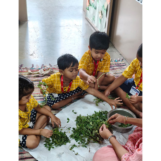 Methi Activity 2025-26