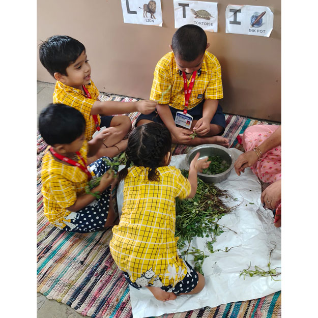 Methi Activity 2025-26