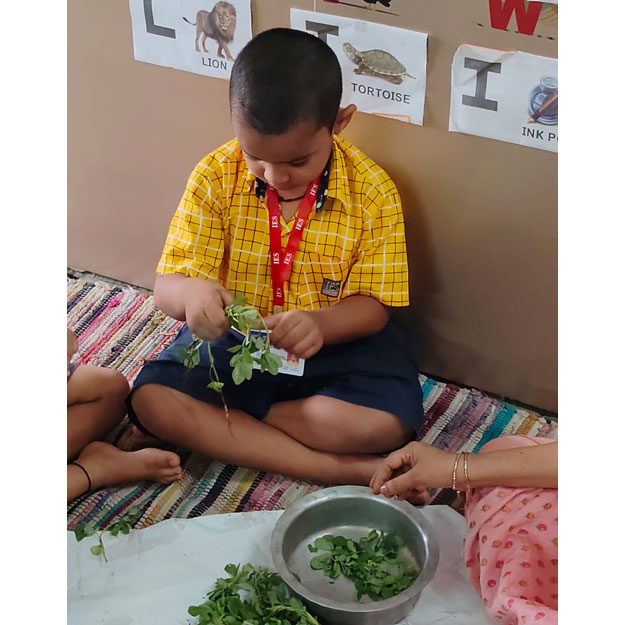 Methi Activity 2025-26