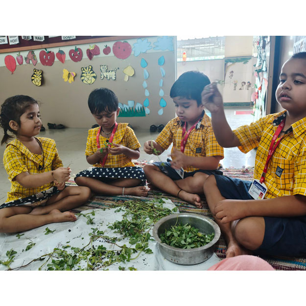 Methi Activity 2025-26