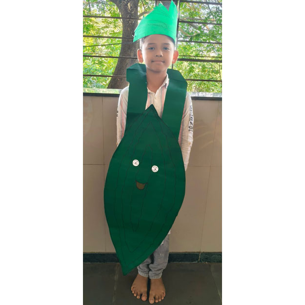 Fancy Dress Competition 2025-26