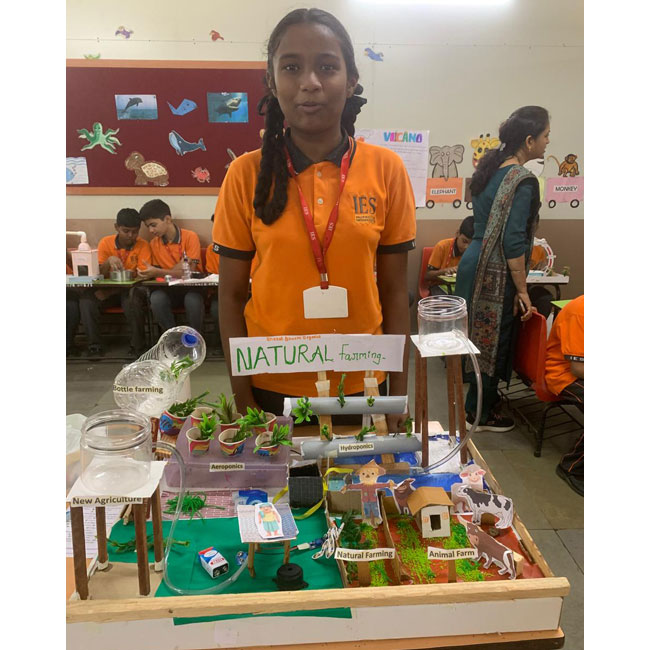 Science Exhibition 2025-26